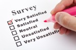 Survey Plr Articles